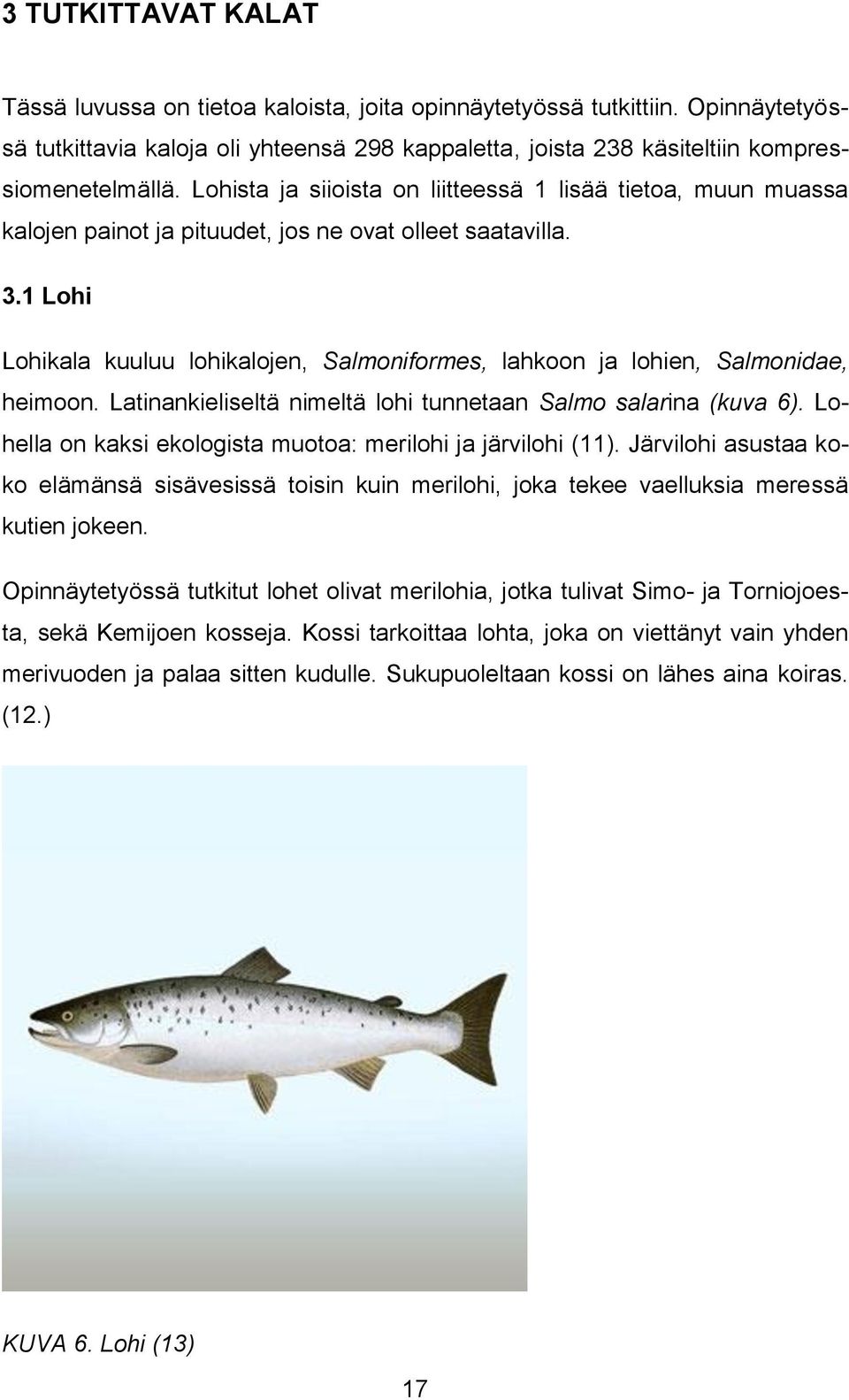 1 Lohi Lohikala kuuluu lohikalojen, Salmoniformes, lahkoon ja lohien, Salmonidae, heimoon. Latinankieliseltä nimeltä lohi tunnetaan Salmo salarina (kuva 6).