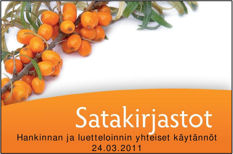 2009 Satakirjastot Hankinnan