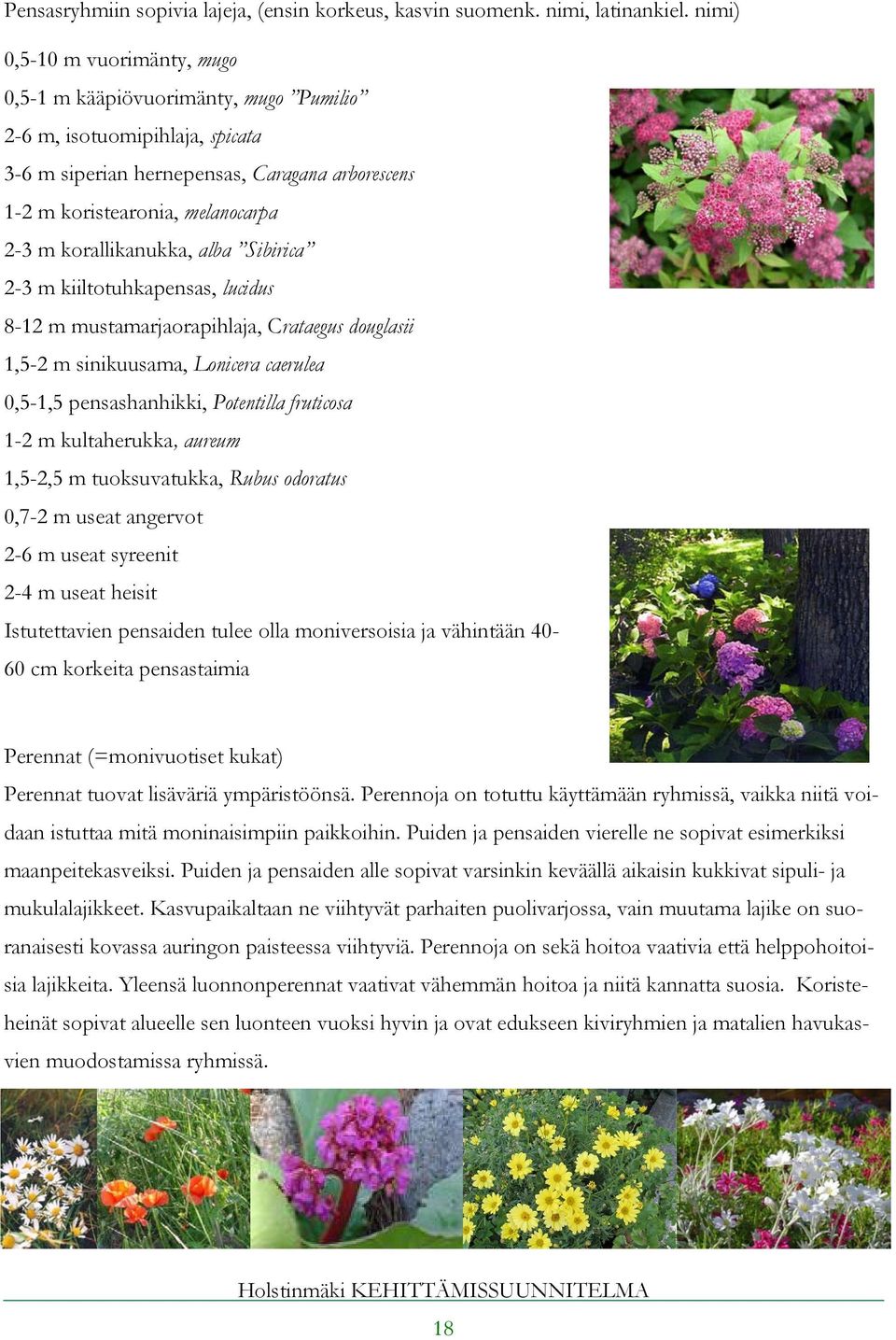 korallikanukka, alba Sibirica 2-3 m kiiltotuhkapensas, lucidus 8-12 m mustamarjaorapihlaja, Crataegus douglasii 1,5-2 m sinikuusama, Lonicera caerulea 0,5-1,5 pensashanhikki, Potentilla fruticosa 1-2