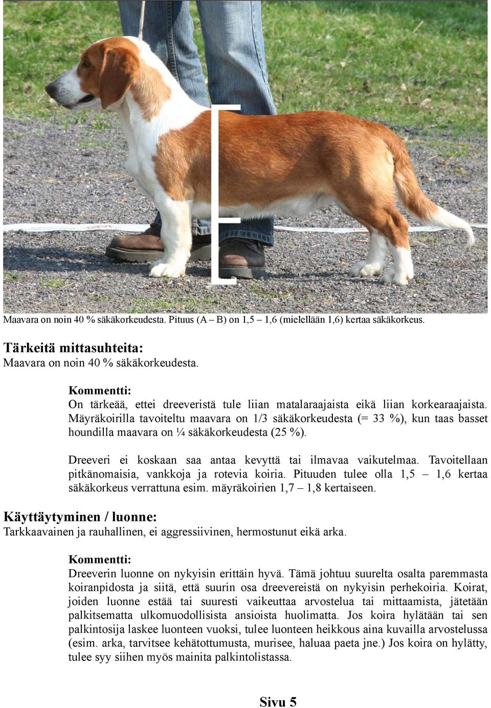 Mäyräkoirilla tavoiteltu maavara on 1/3 säkäkorkeudesta (= 33 %), kun taas basset houndilla maavara on ¼ säkäkorkeudesta (25 %). Dreeveri ei koskaan saa antaa kevyttä tai ilmavaa vaikutelmaa.