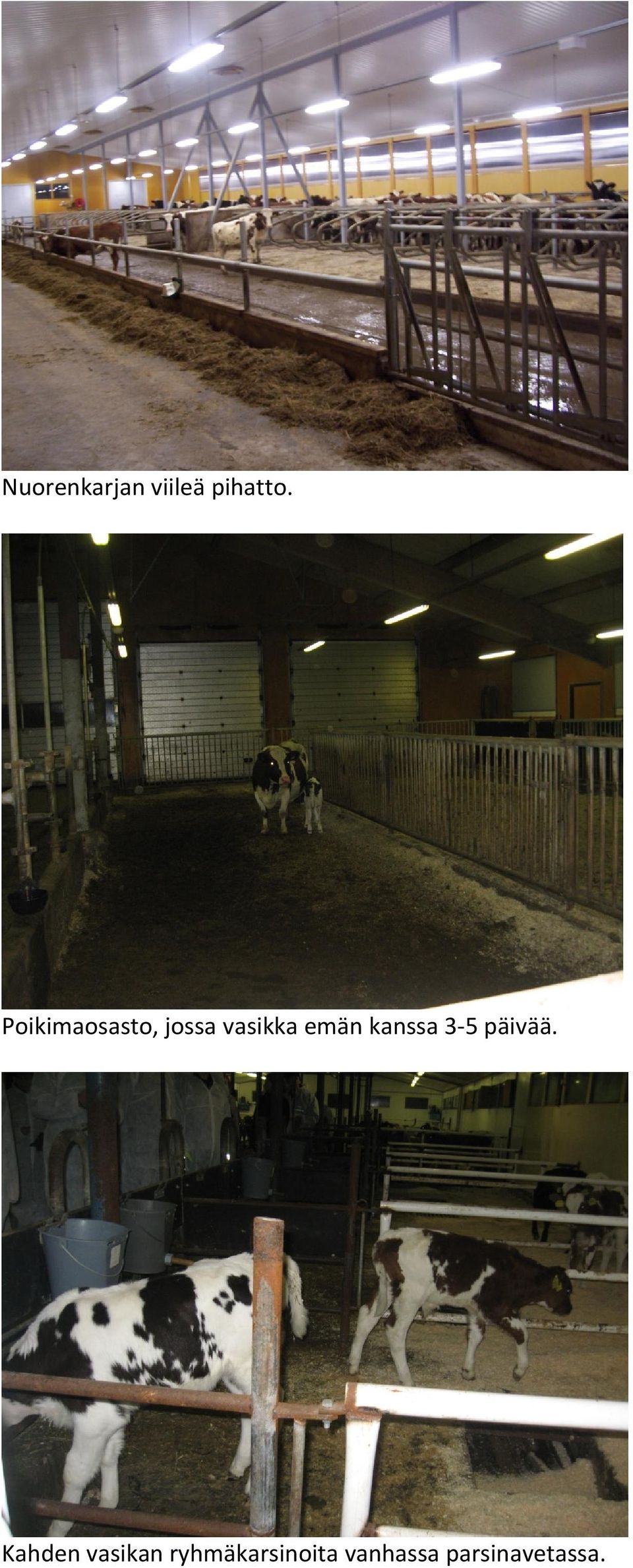 kanssa 3 5 päivää.