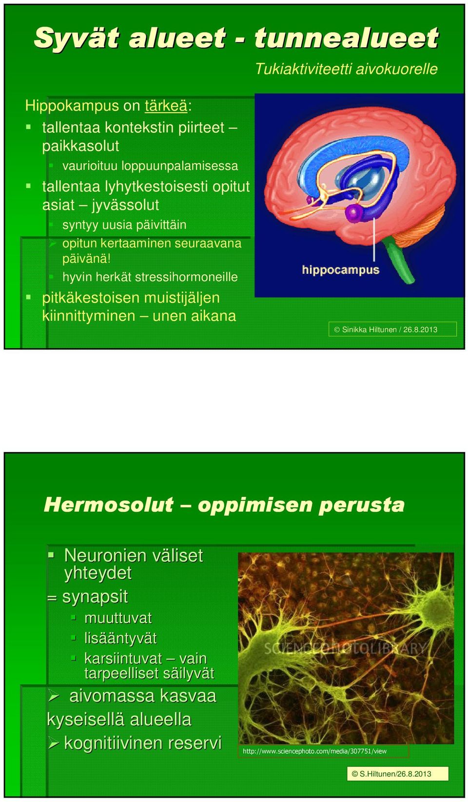 hyvin herkät stressihormoneille pitkäkestoisen muistijäljen kiinnittyminen unen aikana Sinikka Hiltunen / 26.8.