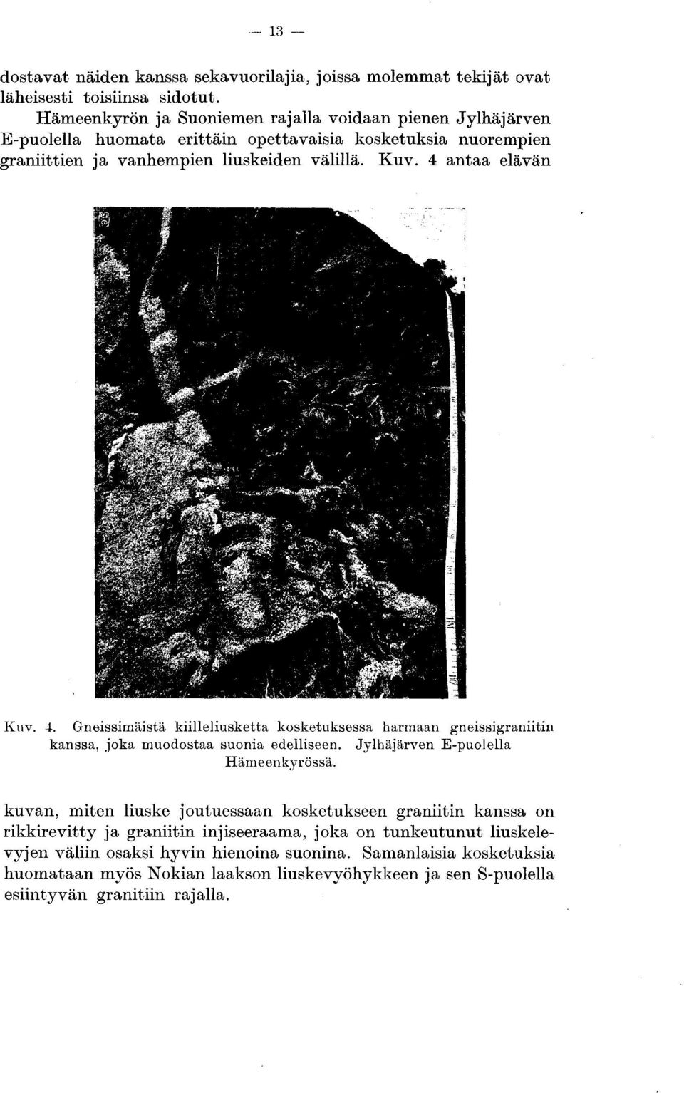 4 antaa elävän Kuv. 4. Gneissimäistä kiilleliusketta kosketuksessa harmaan gneissigraniitin kanssa, joka muodostaa suonia edelliseen. Jylhäjärven E-puolella Hämeenkyrössä.