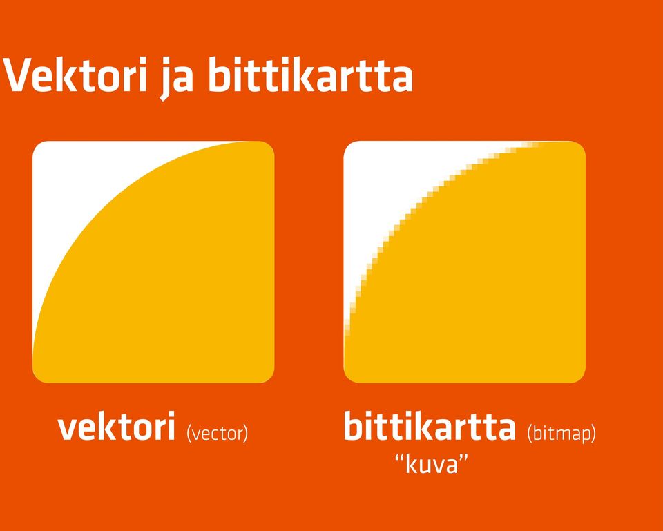 vektori (vector)