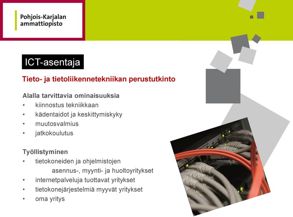 jatkokoulutus Työllistyminen tietokoneiden ja ohjelmistojen asennus-, myynti- ja