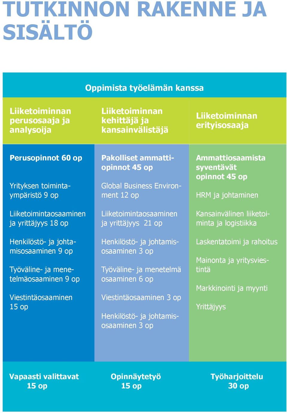 Global Business Environment 12 op Liiketoimintaosaaminen ja yrittäjyys 21 op Henkilöstö- ja johtamisosaaminen 3 op Työväline- ja menetelmä osaaminen 6 op Viestintäosaaminen 3 op Henkilöstö- ja