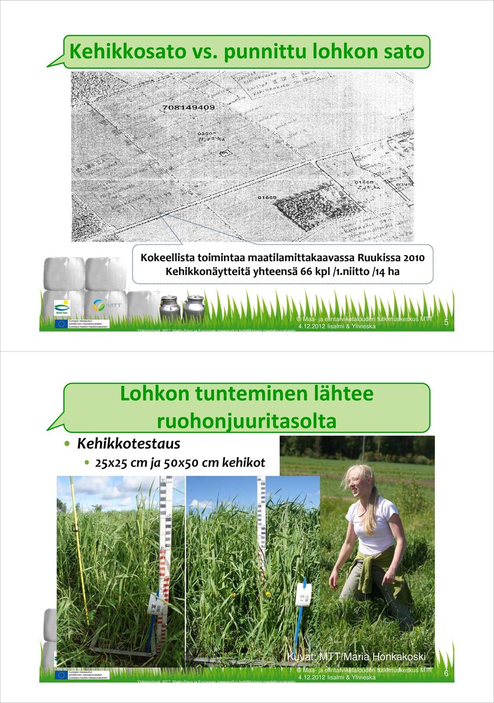 i Ruukissa 2010 Kehikkonäytteitä yhteensä 66 kpl /1.