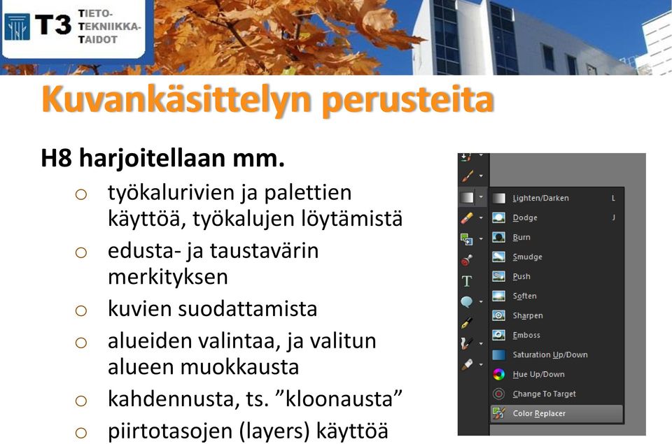 ja taustavärin merkityksen kuvien sudattamista alueiden valintaa,