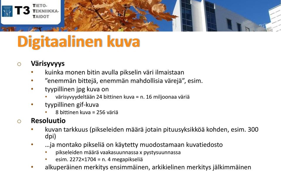 16 miljnaa väriä tyypillinen gif-kuva 8 bittinen kuva = 256 väriä Resluuti kuvan tarkkuus (pikseleiden määrä jtain pituusyksikköä khden,