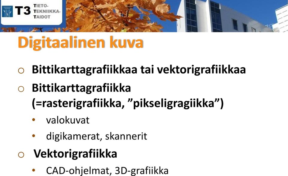 (=rasterigrafiikka, pikseligragiikka ) valkuvat