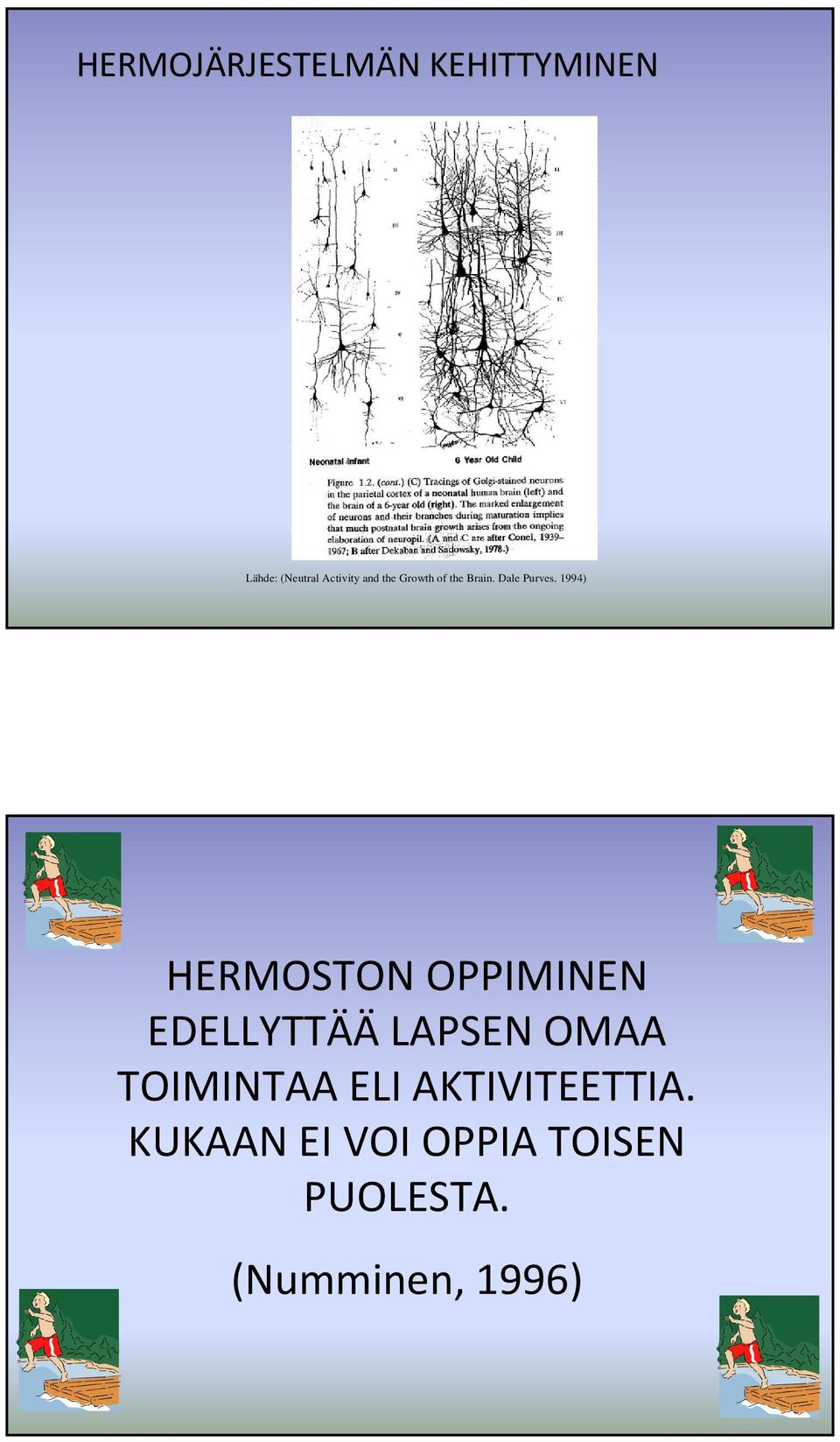 1994) HERMOSTON OPPIMINEN EDELLYTTÄÄ LAPSEN OMAA