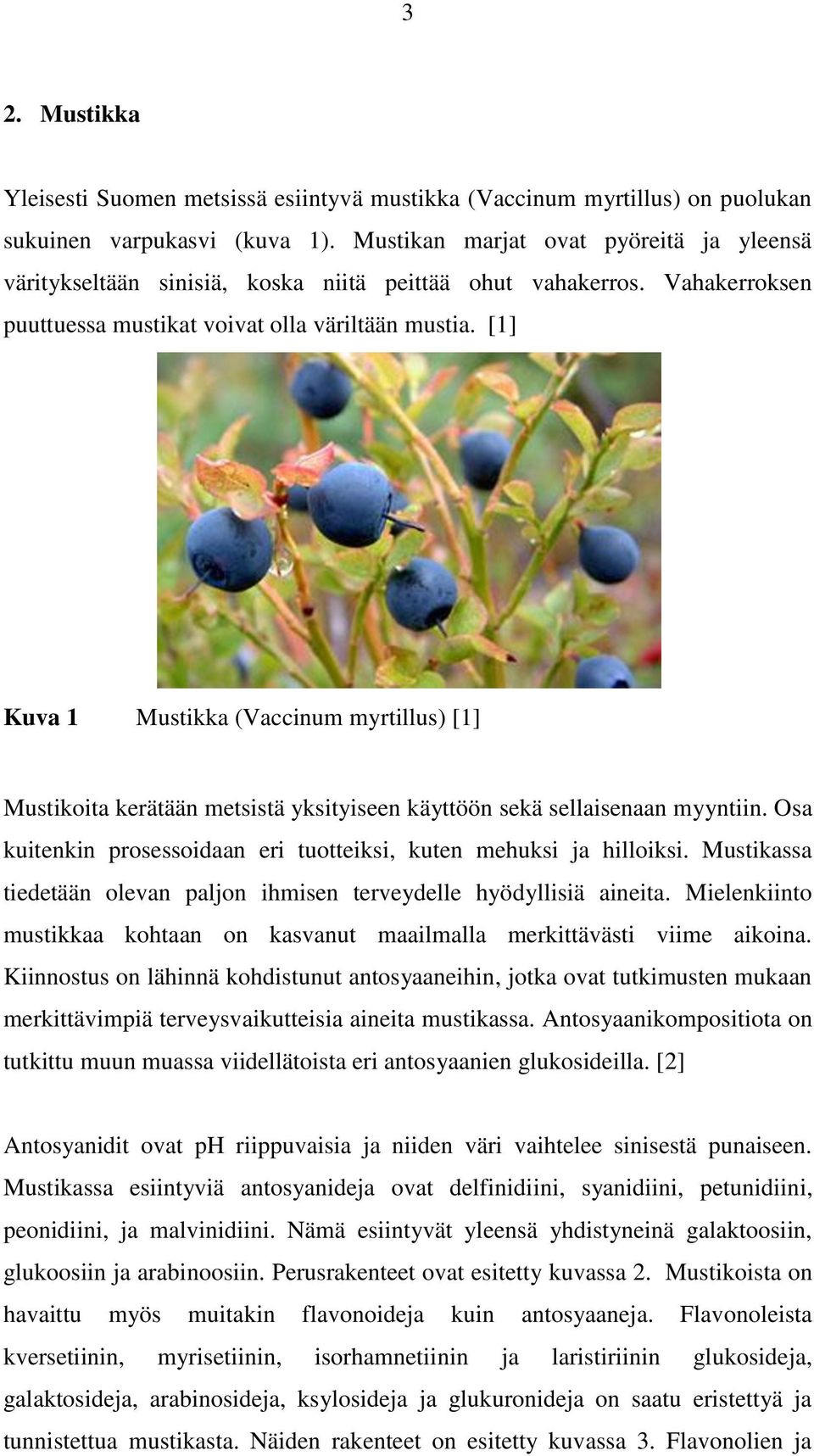 [1] Kuva 1 Mustikka (Vaccinum myrtillus) [1] Mustikoita kerätään metsistä yksityiseen käyttöön sekä sellaisenaan myyntiin. Osa kuitenkin prosessoidaan eri tuotteiksi, kuten mehuksi ja hilloiksi.