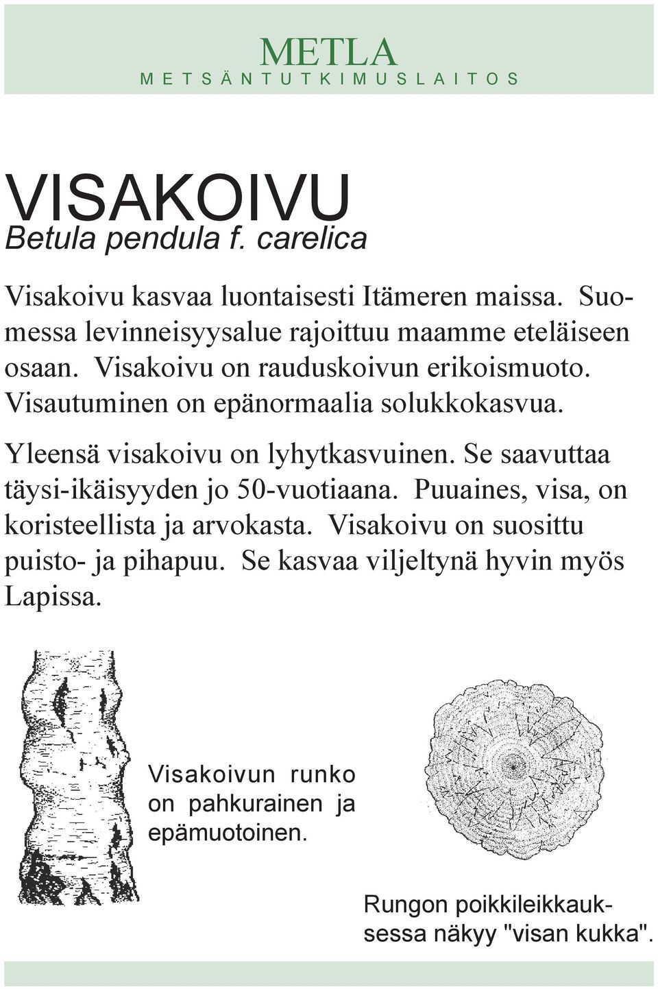 Visautuminen on epänormaalia solukkokasvua. Yleensä visakoivu on lyhytkasvuinen. Se saavuttaa täysi-ikäisyyden jo 50-vuotiaana.