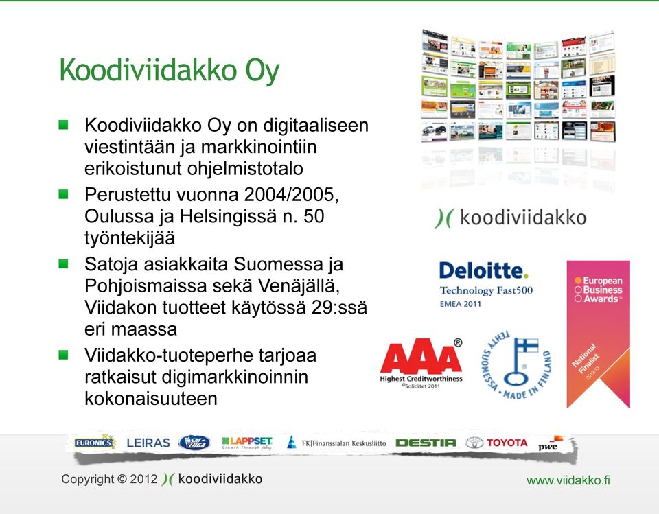 50 työntekijää Satoja asiakkaita Suomessa ja Pohjoismaissa sekä Venäjällä, Viidakon