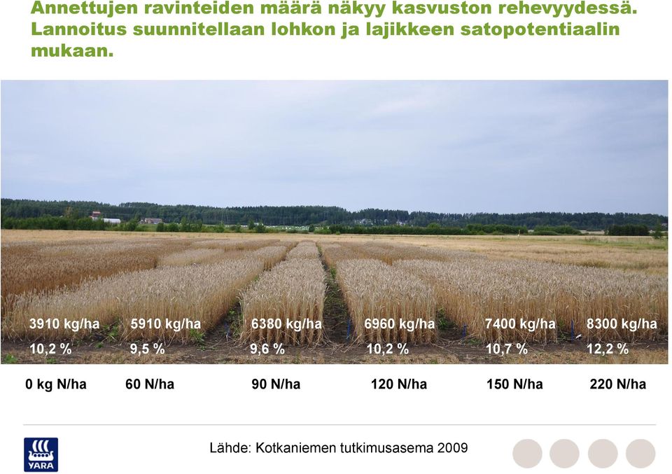 3910 kg/ha 5910 kg/ha 6380 kg/ha 6960 kg/ha 7400 kg/ha 8300 kg/ha 10,2 % 9,5 %