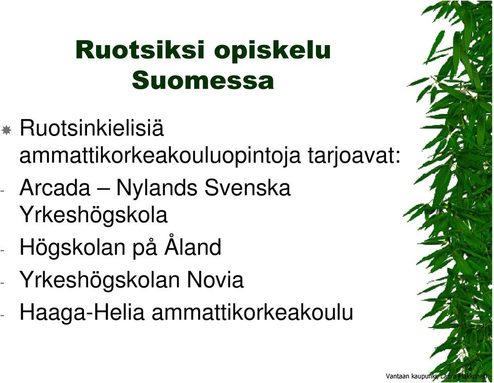 Nylands Svenska Yrkeshögskola - Högskolan på