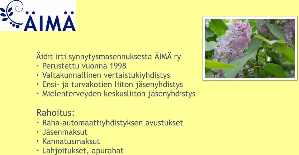 jäsenyhdistys Mielenterveyden keskusliiton jäsenyhdistys Rahoitus:
