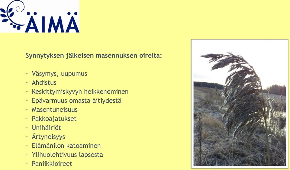 äitiydestä - Masentuneisuus - Pakkoajatukset - Unihäiriöt -