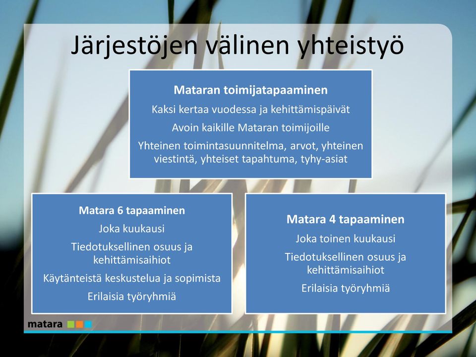 6 tapaaminen Joka kuukausi Tiedotuksellinen osuus ja kehittämisaihiot Käytänteistä keskustelua ja sopimista