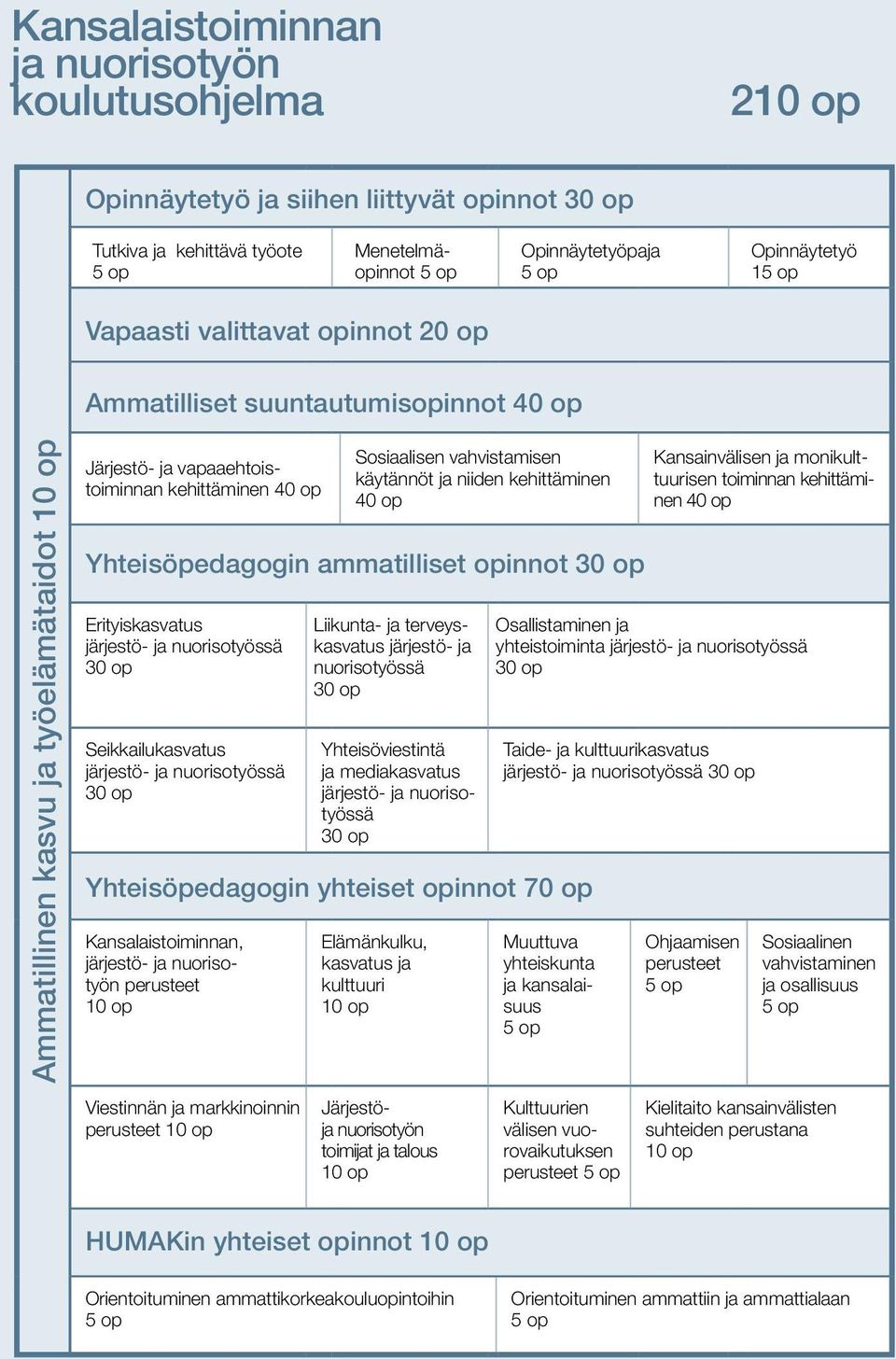 käytännöt ja niiden kehittäminen 40 op Yhteisöpedagogin ammatilliset opinnot 30 op Erityiskasvatus järjestö- ja nuorisotyössä 30 op Seikkailukasvatus järjestö- ja nuorisotyössä 30 op Liikunta- ja