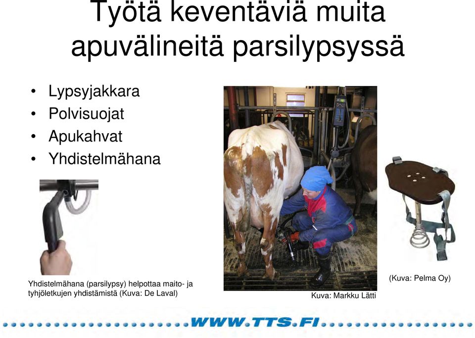 Yhdistelmähana (parsilypsy) helpottaa maito- ja