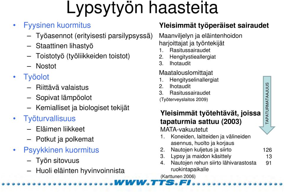 ja eläintenhoidon id harjoittajat ja työntekijät 1. Rasitussairaudet 2. Hengitystieallergiat 3. Ihotaudit Maatalouslomittajat 1. Hengityselinallergiat 2. Ihotaudit 3.