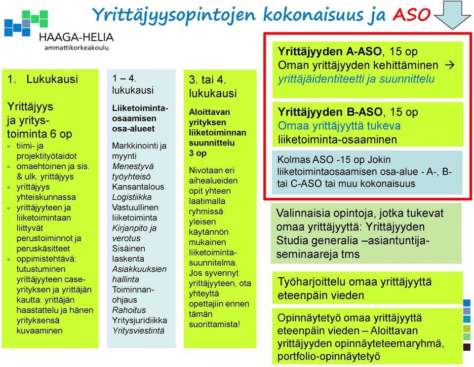 yrittäjän haastattelu ja hänen yrityksensä kuvaaminen 1 4.