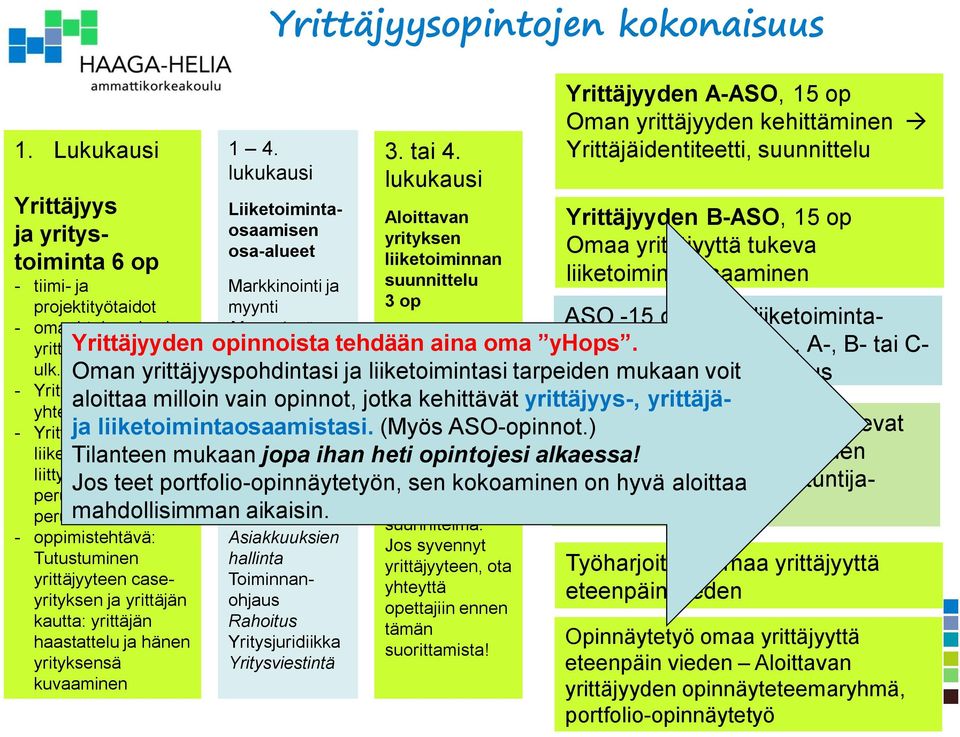 yrittäjän haastattelu ja hänen yrityksensä kuvaaminen Yrittäjyysopintojen kokonaisuus 1 4. lukukausi Liiketoimintaosaamisen osa-alueet Markkinointi ja myynti 3. tai 4.