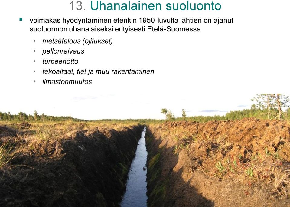 erityisesti Etelä-Suomessa metsätalous (ojitukset)