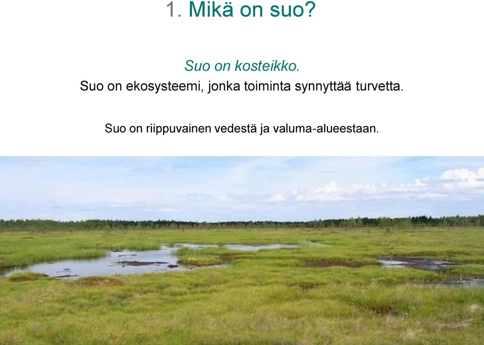 synnyttää turvetta.