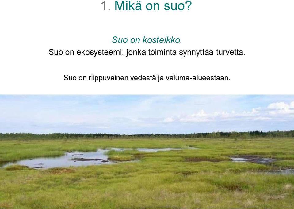 synnyttää turvetta.