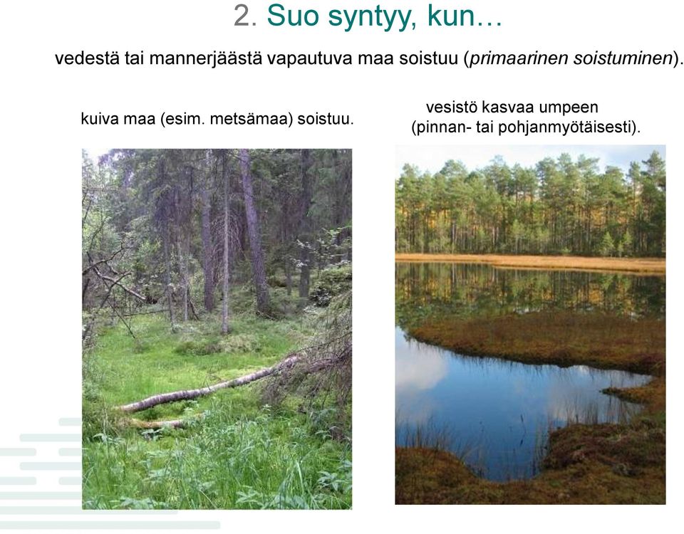 soistuminen). kuiva maa (esim.