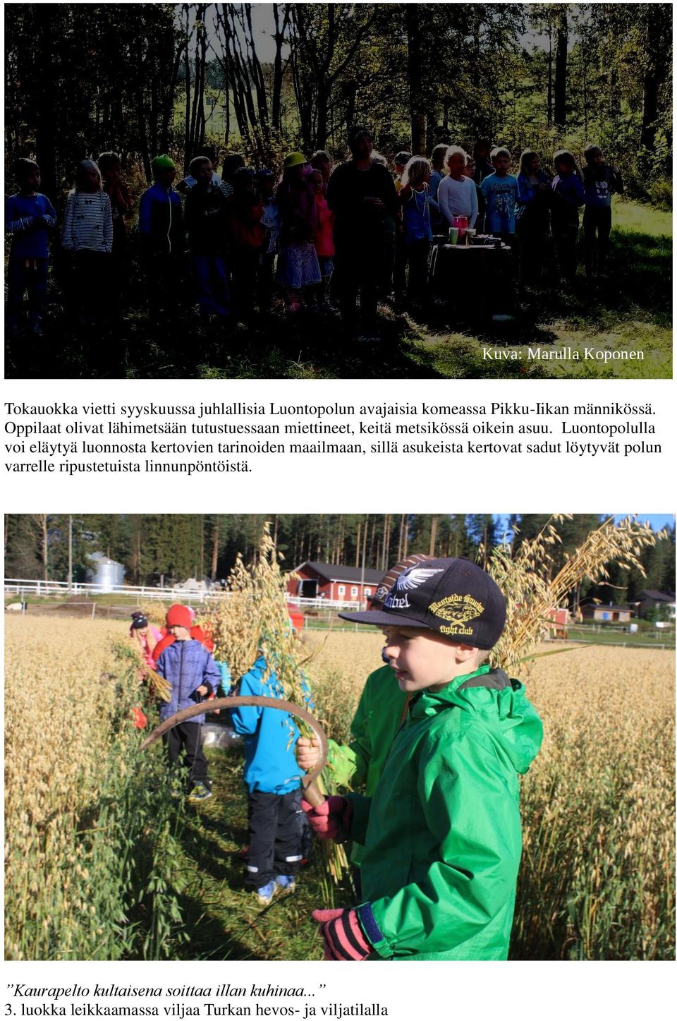 Luontopolulla voi eläytyä luonnosta kertovien tarinoiden maailmaan, sillä asukeista kertovat sadut löytyvät polun