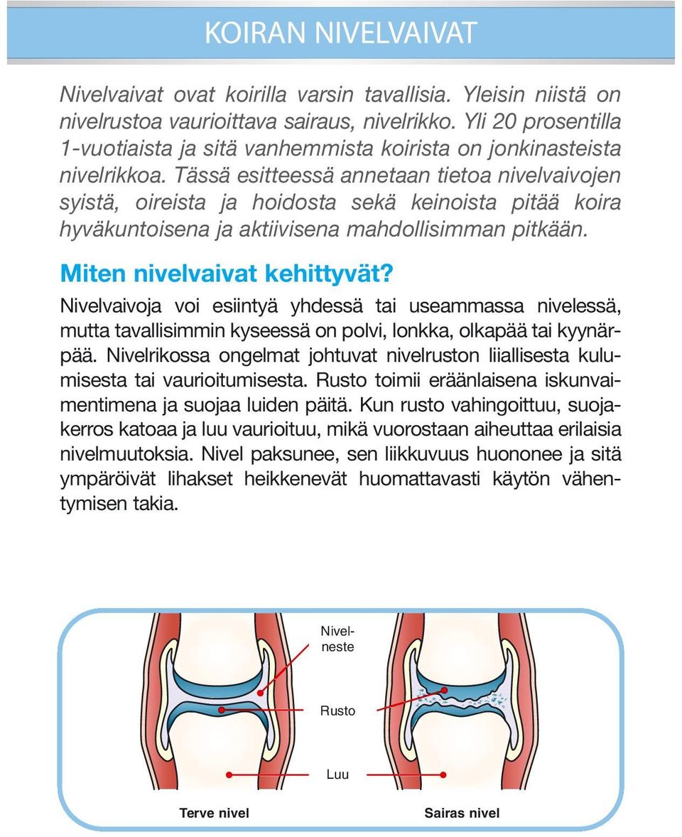 Tässä esitteessä annetaan tietoa nivelvaivojen syistä, oireista ja hoidosta sekä keinoista pitää koira hyväkuntoisena ja aktiivisena mahdollisimman pitkään. Miten nivelvaivat kehittyvät?