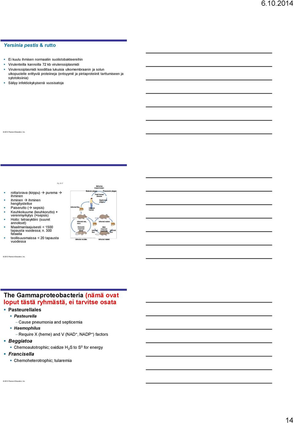 sepsis) Keuhkokuume (keuhkorutto) + verenmyrkytys (=sepsis) Hoito: tetrasykliini (suuret annokset) Maailmanlaajuisesti < 1500 tapausta vuodessa; n.