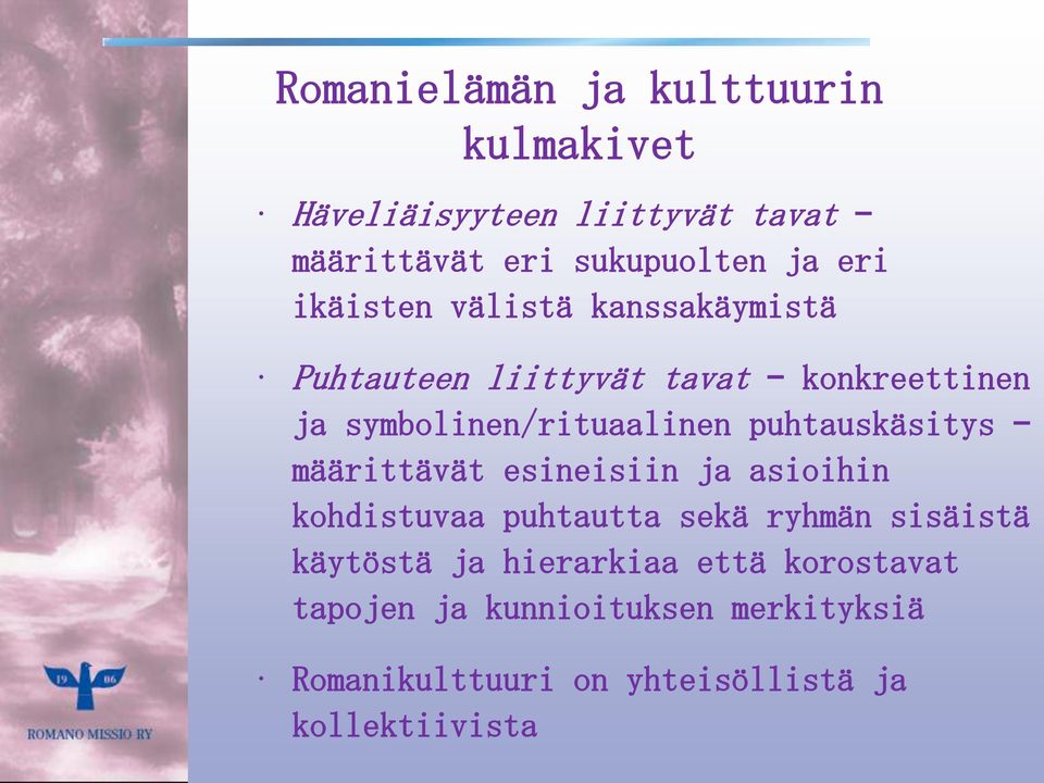 puhtauskäsitys määrittävät esineisiin ja asioihin kohdistuvaa puhtautta sekä ryhmän sisäistä käytöstä ja