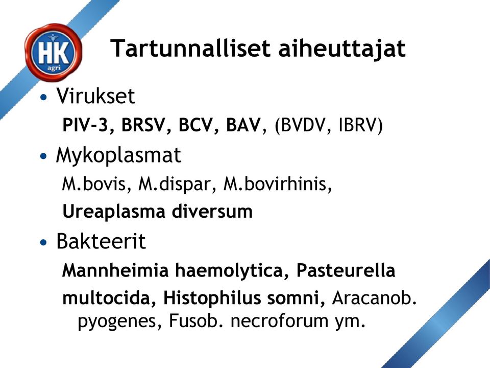 bovirhinis, Ureaplasma diversum Bakteerit Mannheimia