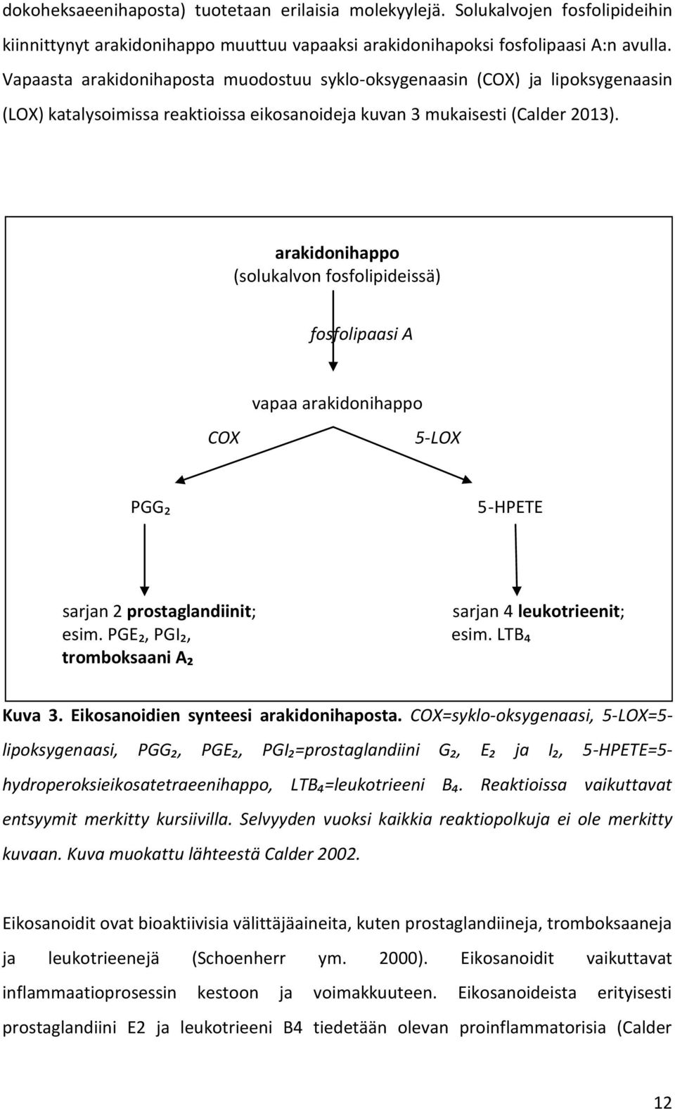 arakidonihappo (solukalvon fosfolipideissä) fosfolipaasi A vapaa arakidonihappo COX 5-LOX PGG₂ 5-HPETE sarjan 2 prostaglandiinit; esim. PGE₂, PGI₂, tromboksaani A₂ sarjan 4 leukotrieenit; esim.