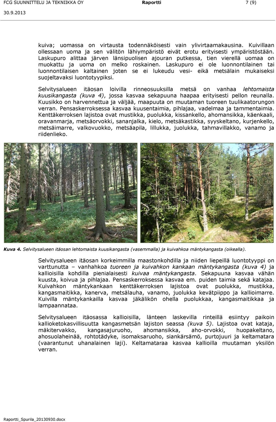 Laskupuro alittaa järven länsipuolisen ajouran putkessa, tien vierellä uomaa on muokattu ja uoma on melko roskainen.