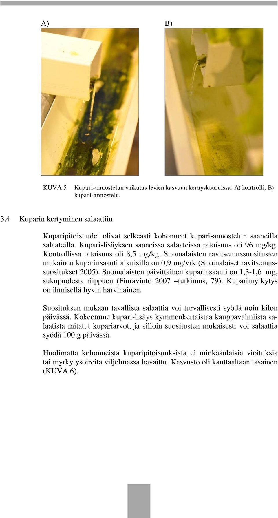 Kontrollissa pitoisuus oli 8,5 mg/kg. Suomalaisten ravitsemussuositusten mukainen kuparinsaanti aikuisilla on 0,9 mg/vrk (Suomalaiset ravitsemussuositukset 2005).