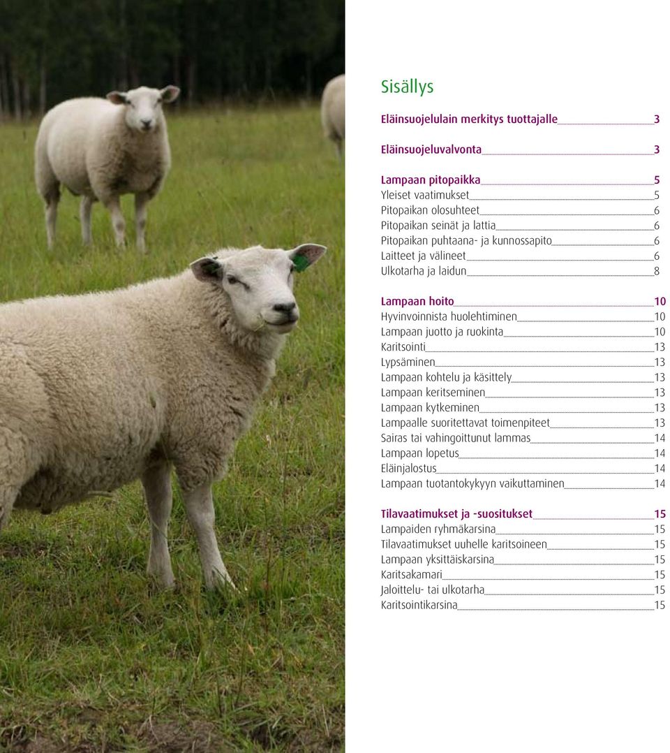 13 Lampaan keritseminen 13 Lampaan kytkeminen 13 Lampaalle suoritettavat toimenpiteet 13 Sairas tai vahingoittunut lammas 14 Lampaan lopetus 14 Eläinjalostus 14 Lampaan tuotantokykyyn