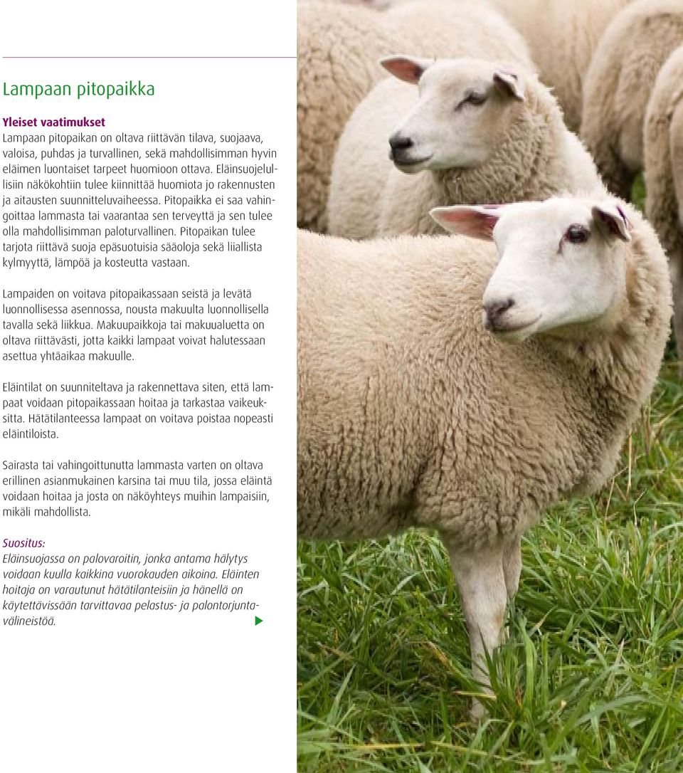 Pitopaikka ei saa vahingoittaa lammasta tai vaarantaa sen terveyttä ja sen tulee olla mahdollisimman paloturvallinen.