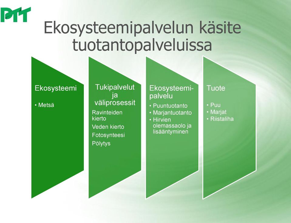 Fotosynteesi Ekosysteemipalvelu Puuntuotanto Marjantuotanto