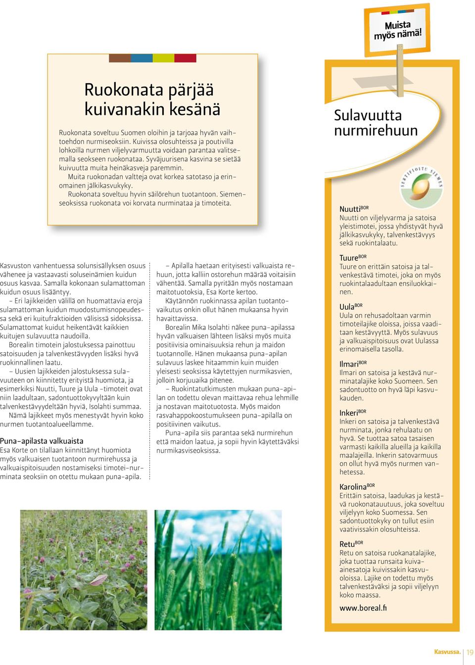Muita ruokonadan valtteja ovat korkea satotaso ja erinomainen jälkikasvukyky. Ruokonata soveltuu hyvin säilörehun tuotantoon. Siemenseoksissa ruokonata voi korvata nurminataa ja timoteita.