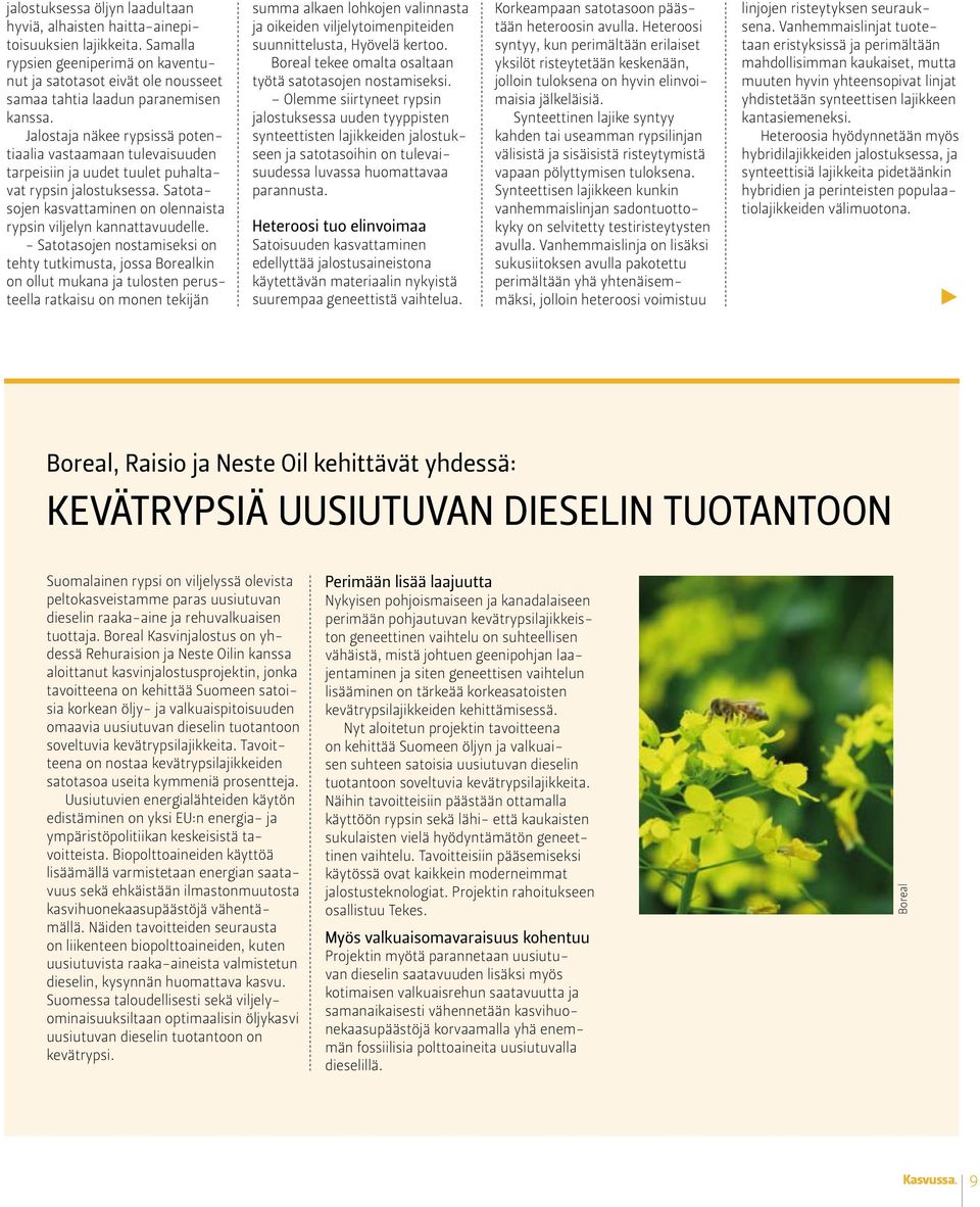 - Satotasojen nostamiseksi on tehty tutkimusta, jossa Borealkin on ollut mukana ja tulosten perusteella ratkaisu on monen tekijän summa alkaen lohkojen valinnasta ja oikeiden viljelytoimenpiteiden