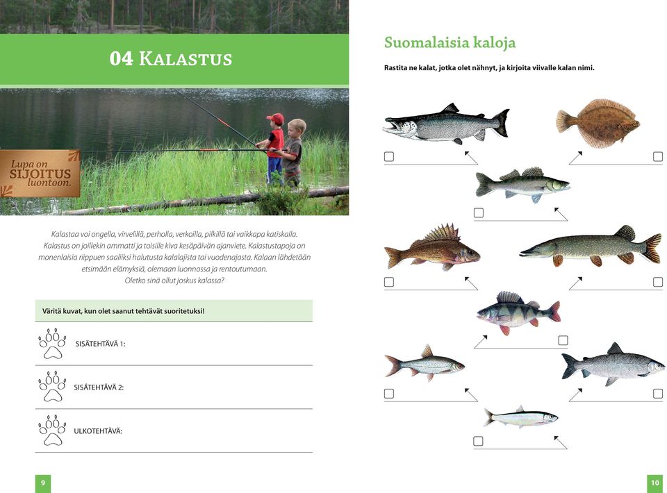 Kalastus on joillekin ammatti ja toisille kiva kesäpäivän ajanviete.