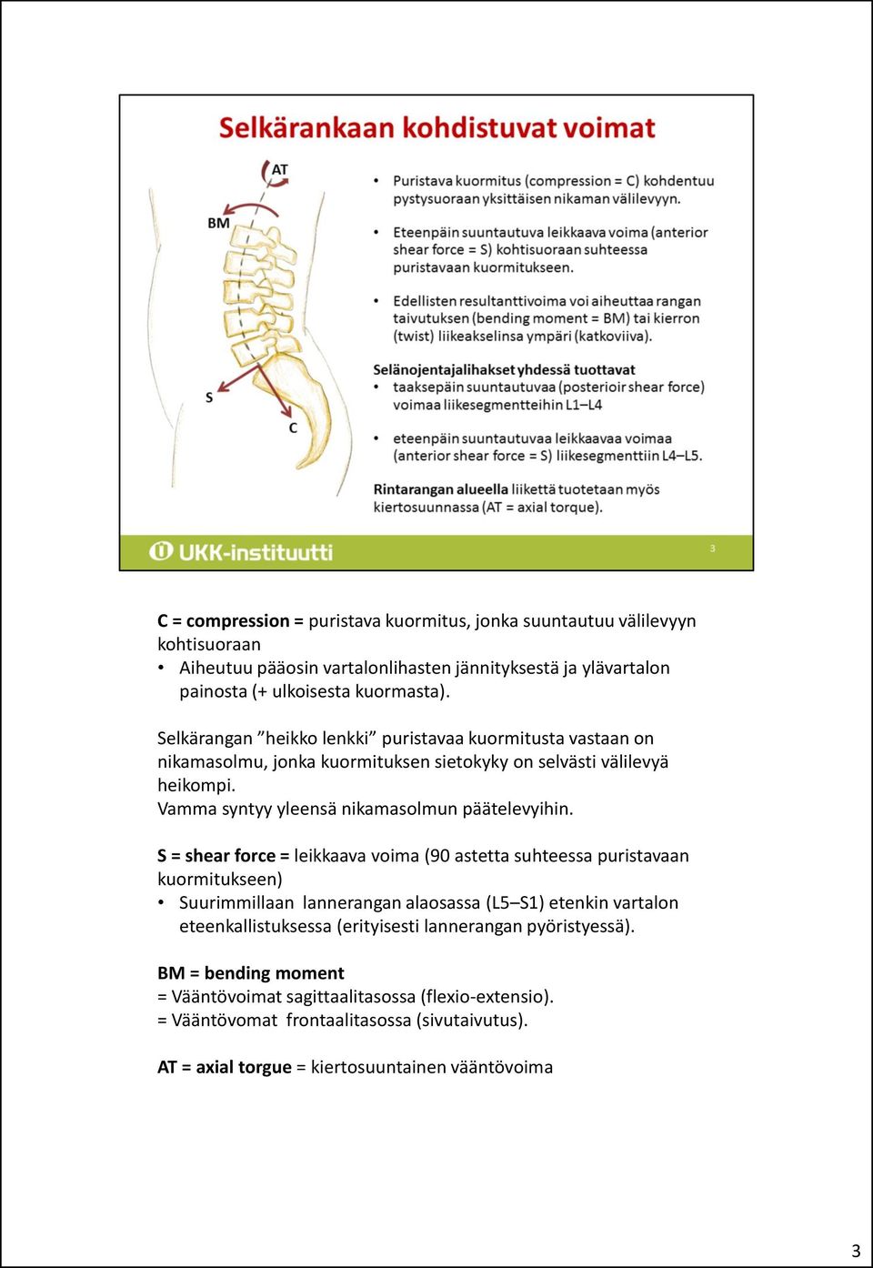 S = shear force = leikkaava voima (90 astetta suhteessa puristavaan kuormitukseen) Suurimmillaan lannerangan alaosassa (L5 S1) etenkin vartalon eteenkallistuksessa (erityisesti