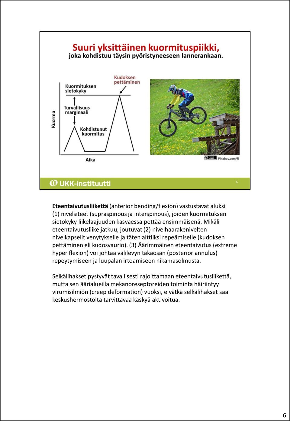 (3) Äärimmäinen eteentaivutus (extreme hyper flexion) voi johtaa välilevyn takaosan (posterior annulus) repeytymiseen ja luupalan irtoamiseen nikamasolmusta.