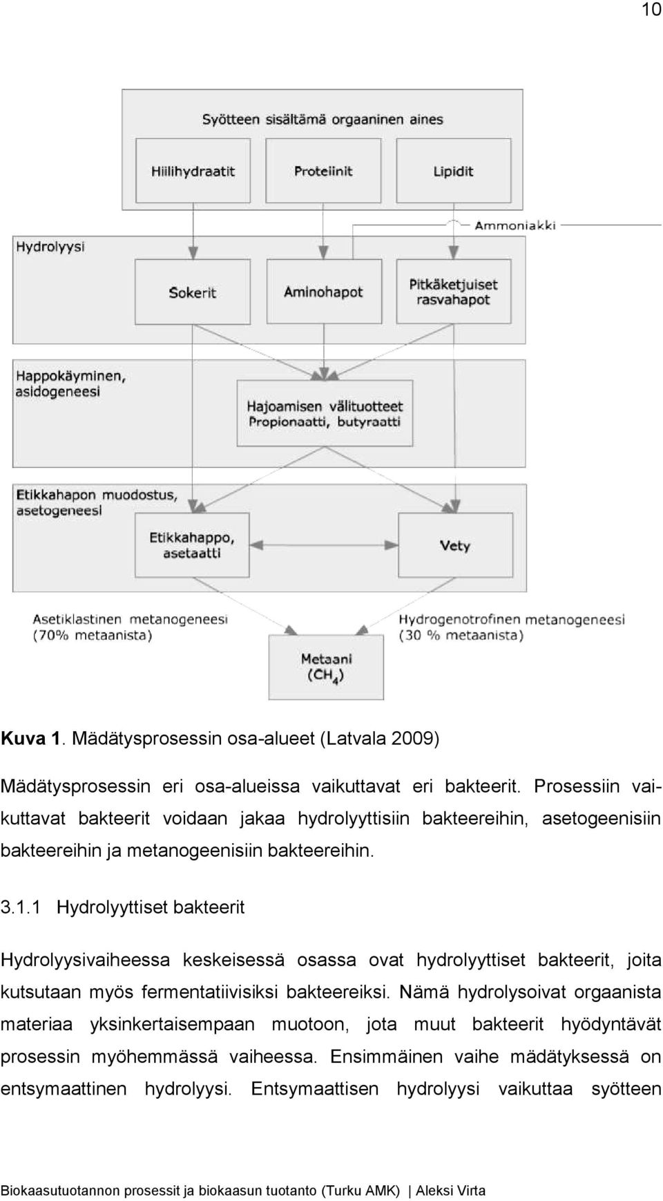 1 Hydrolyyttiset bakteerit Hydrolyysivaiheessa keskeisessä osassa ovat hydrolyyttiset bakteerit, joita kutsutaan myös fermentatiivisiksi bakteereiksi.