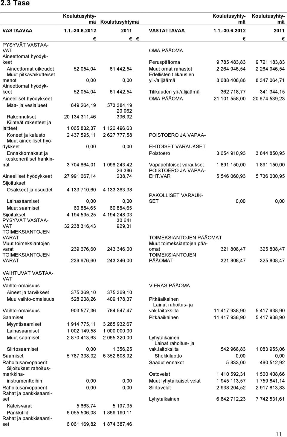 2012 2011 PYSYVÄT VASTAA- VAT OMA PÄÄOMA Aineettomat hyödykkeet Peruspääoma 9 785 483,83 9 721 183,83 Aineettomat oikeudet 52 054,04 61 442,54 Muut omat rahastot 2 264 946,54 2 264 946,54 Muut